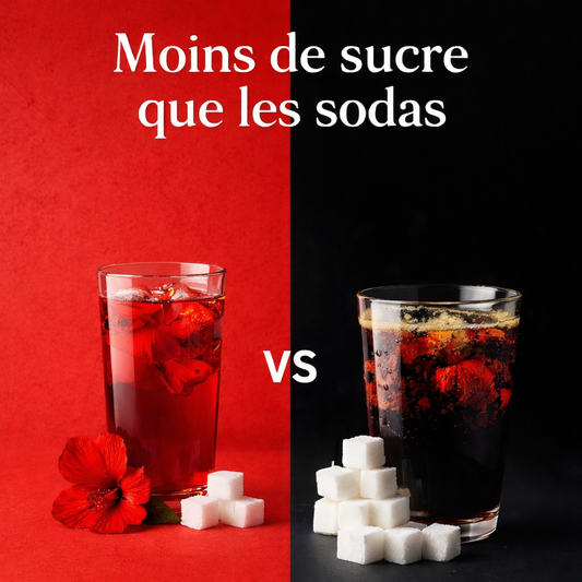 Thé hibiscus vs soda : comparaison complète - SONLIFE hibiscus Suisse